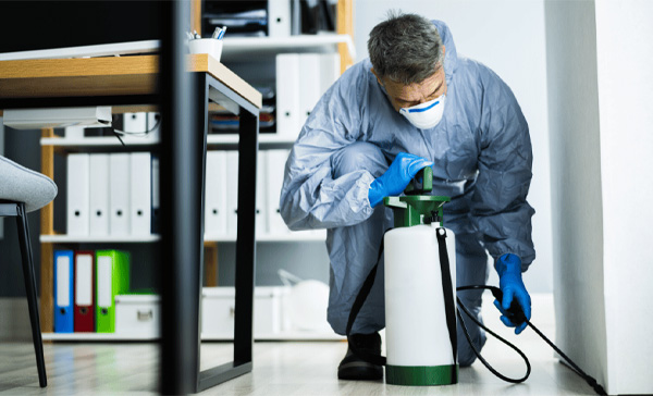 Técnicas Utilizadas pela Dedetizadora de Pulga em Barueri Técnicas Utilizadas pela Dedetizadora de Pulga em Barueri
